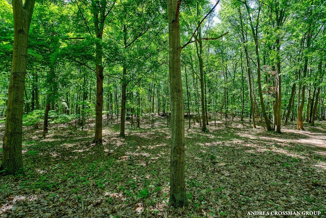 0 Stonebridge Trail 2, Fennville, MI 49408 - photo 17