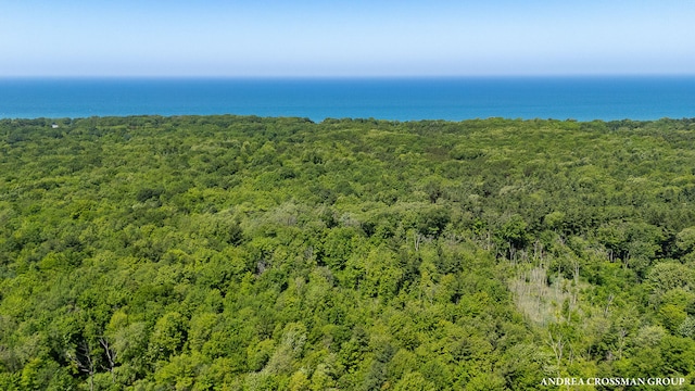 0 Stonebridge Trail 2, Fennville, MI 49408 - photo 22