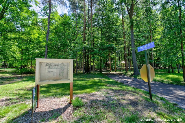 0 Stonebridge Trail 2, Fennville, MI 49408 - photo 12