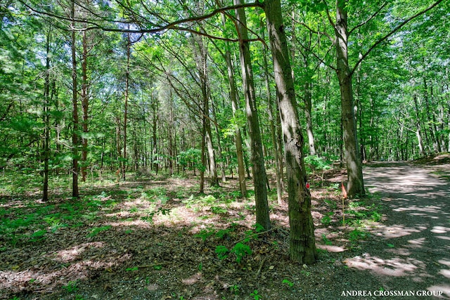 0 Stonebridge Trail 2, Fennville, MI 49408 - photo 18