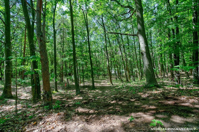 0 Stonebridge Trail 2, Fennville, MI 49408 - photo 19