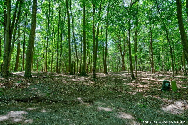 0 Stonebridge Trail 2, Fennville, MI 49408 - photo 20