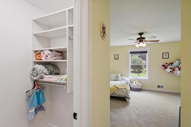 46140 Finch St, Mattawan, MI 49071 - view of closet