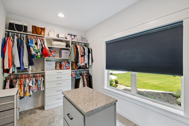 46140 Finch St, Mattawan, MI 49071 - spacious closet featuring light colored carpet