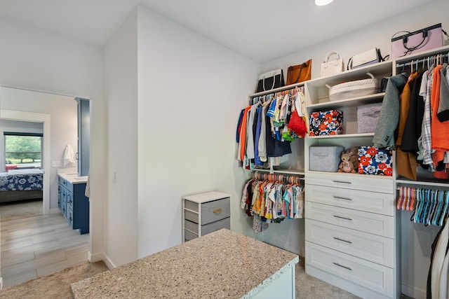 46140 Finch St, Mattawan, MI 49071 - view of spacious closet