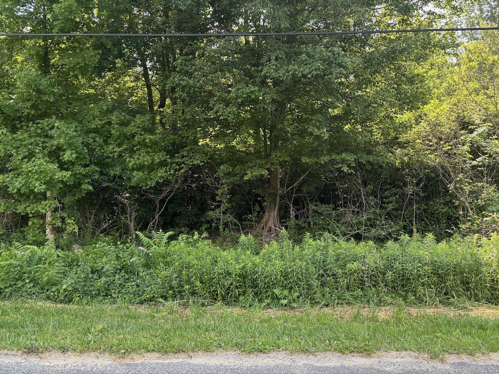 6427 Harrison St, Coloma, MI 49038
