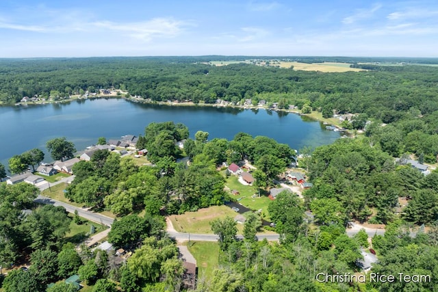 4669 Main St, Pierson, MI 49339