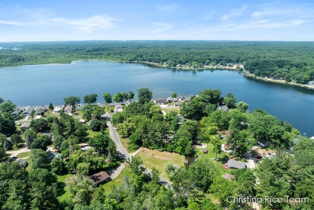 4669 Main St, Pierson, MI 49339