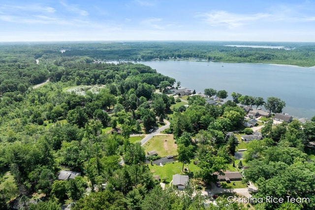 4669 Main St, Pierson, MI 49339