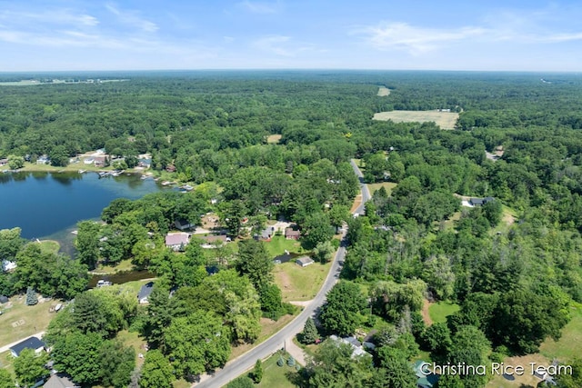 4669 Main St, Pierson, MI 49339