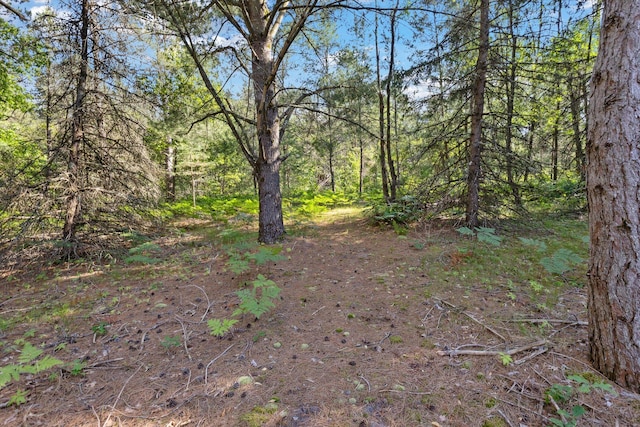 6578 W 13 Mile Rd, Bitely, MI 49309