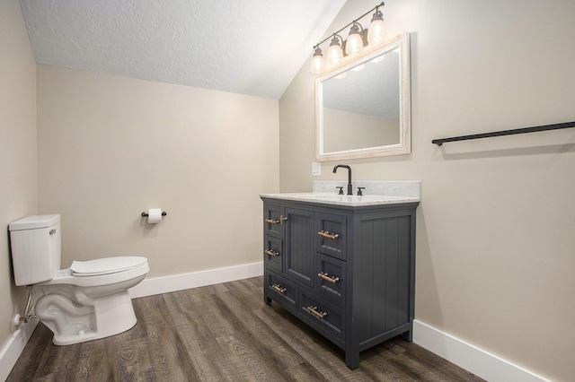 17756 Brad Ln, Three Rivers, MI 49093 - bathroom with wood finished floors, vanity, vaulted ceiling, and a textured ceiling