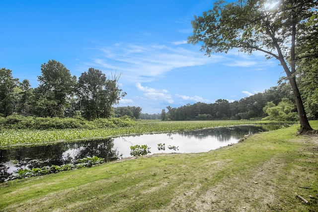 17756 Brad Ln, Three Rivers, MI 49093 - water view featuring a forest