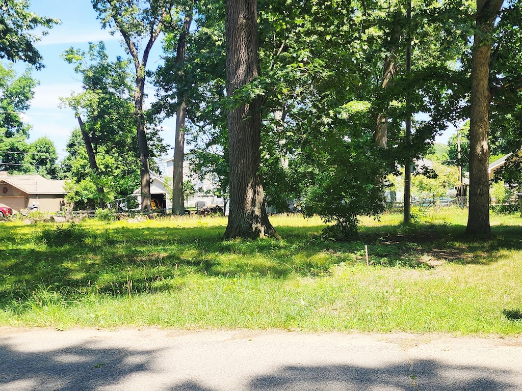 V/L 35 1/2 Street, Paw Paw, MI 49079 - photo 2