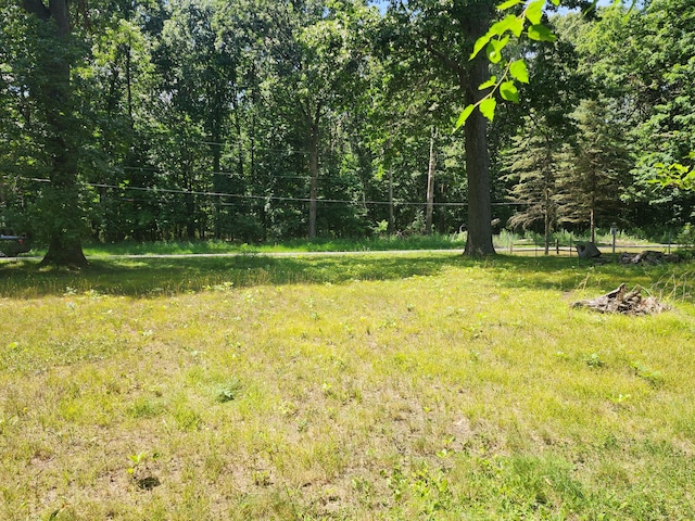 V/L 35 1/2 Street, Paw Paw, MI 49079 - photo 3