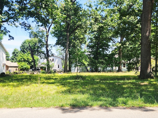 V/L 35 1/2 Street, Paw Paw, MI 49079 - photo 1