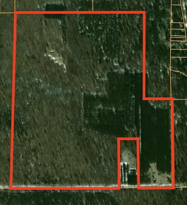5316 W 7 Mile Rd, Irons, MI 49644