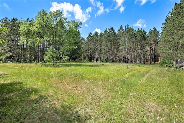 5316 W 7 Mile Rd, Irons, MI 49644 - photo 13