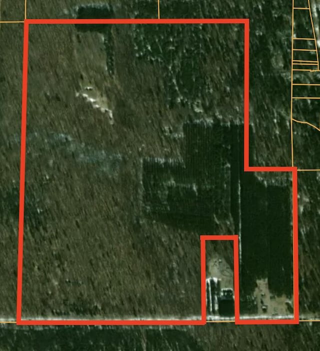 5316 W 7 Mile Rd, Irons, MI 49644 - photo 34