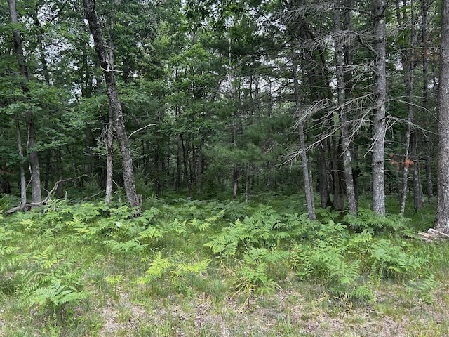 5316 W 7 Mile Rd, Irons, MI 49644 - photo 14