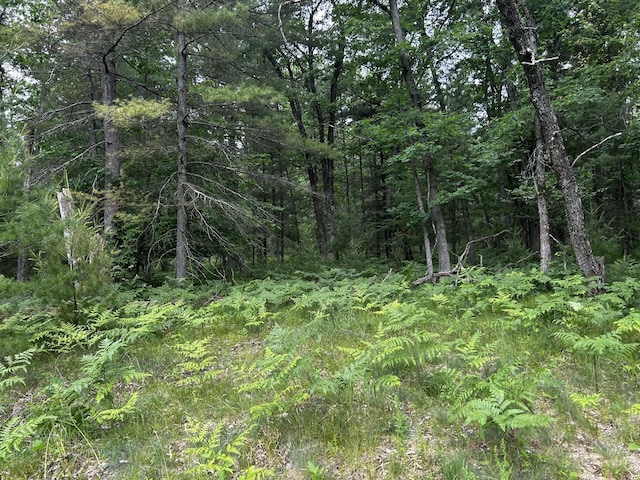 5316 W 7 Mile Rd, Irons, MI 49644 - photo 15