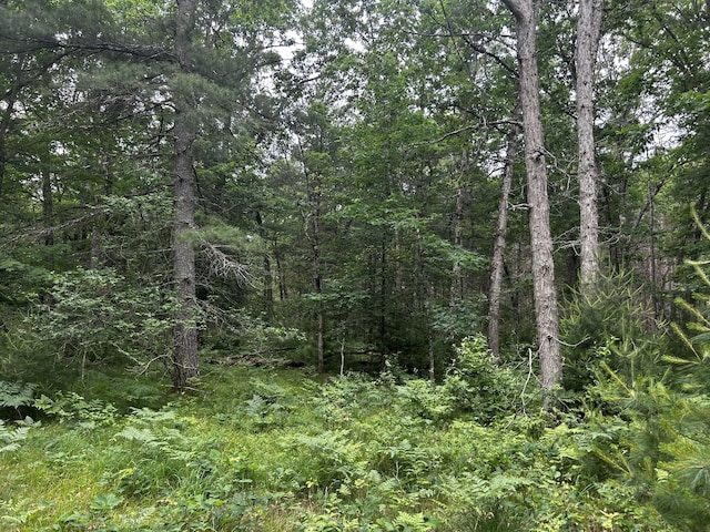5316 W 7 Mile Rd, Irons, MI 49644 - photo 16