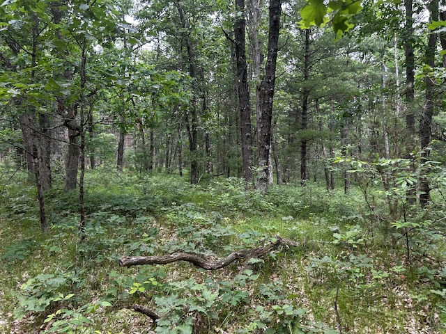 5316 W 7 Mile Rd, Irons, MI 49644 - photo 17