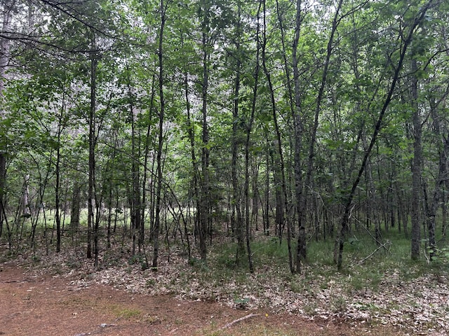 5316 W 7 Mile Rd, Irons, MI 49644 - photo 18