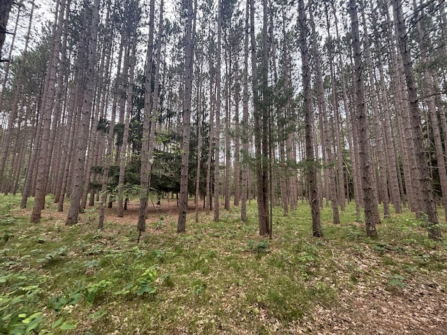 5316 W 7 Mile Rd, Irons, MI 49644 - photo 19