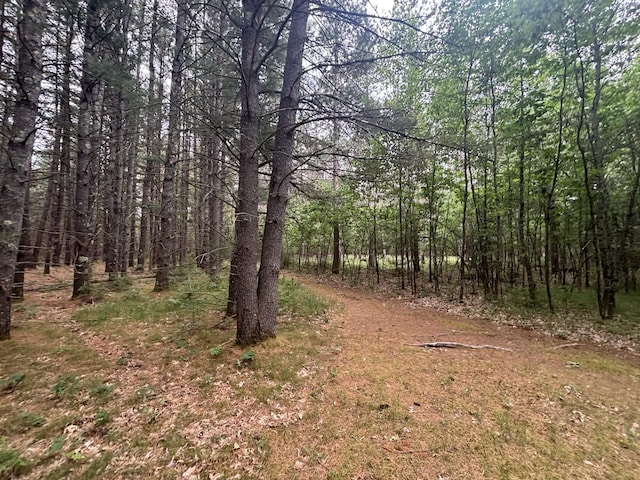 5316 W 7 Mile Rd, Irons, MI 49644 - photo 22