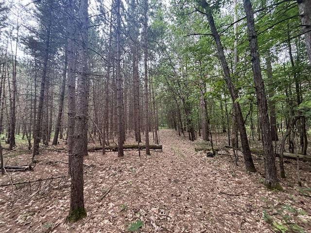 5316 W 7 Mile Rd, Irons, MI 49644 - photo 23