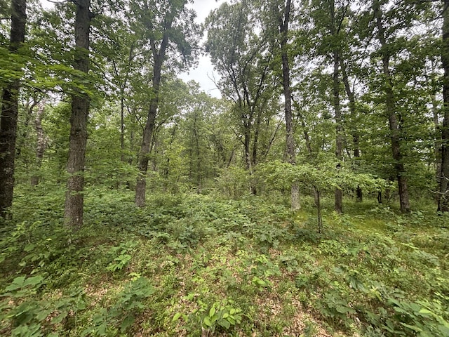 5316 W 7 Mile Rd, Irons, MI 49644 - photo 27