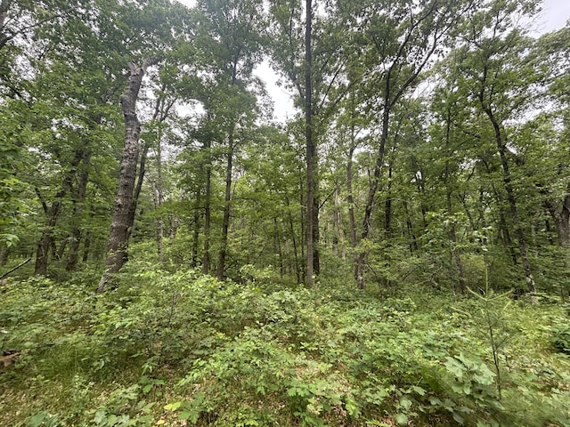 5316 W 7 Mile Rd, Irons, MI 49644 - photo 28