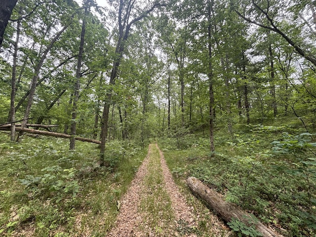 5316 W 7 Mile Rd, Irons, MI 49644 - photo 29