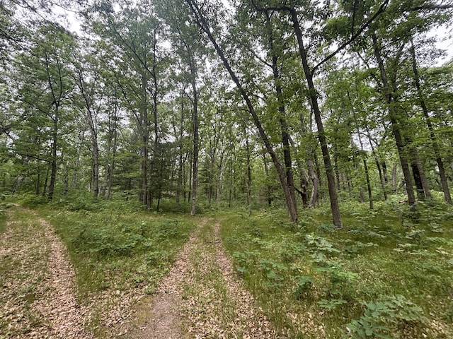 5316 W 7 Mile Rd, Irons, MI 49644 - photo 30
