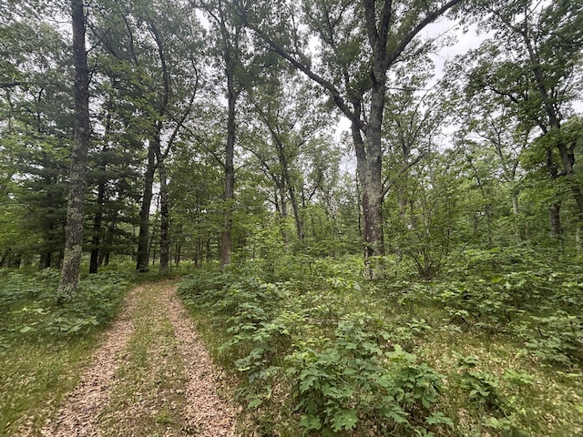 5316 W 7 Mile Rd, Irons, MI 49644 - photo 31