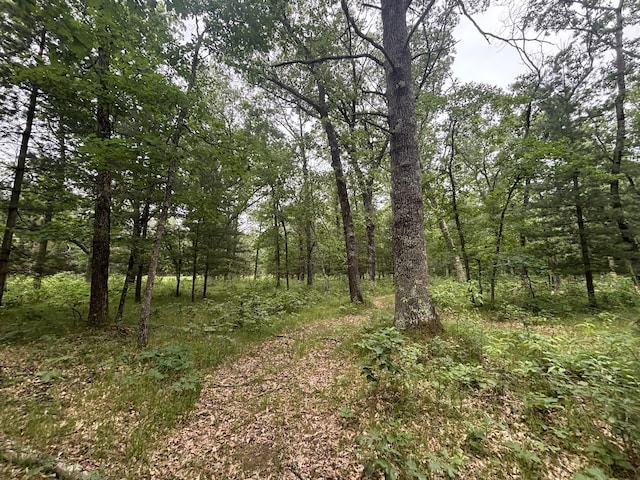 5316 W 7 Mile Rd, Irons, MI 49644 - photo 32