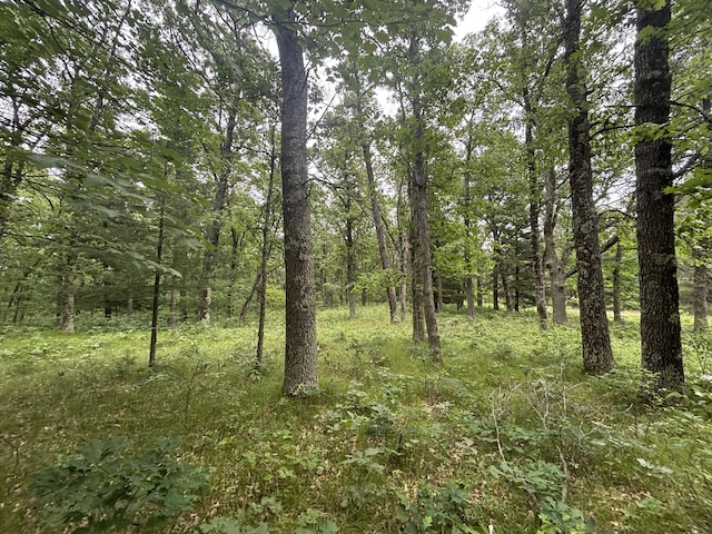 5316 W 7 Mile Rd, Irons, MI 49644 - photo 33