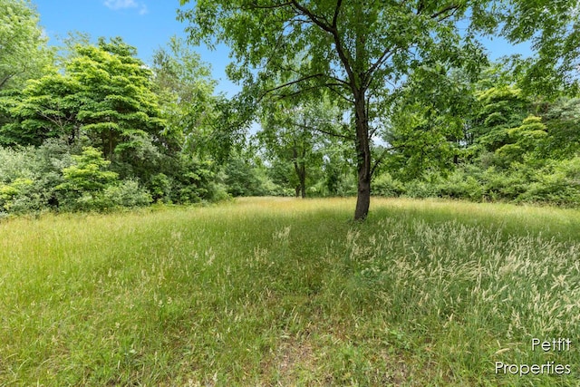 6804 S Maple Island Rd, Nunica, MI 49448 - photo 3
