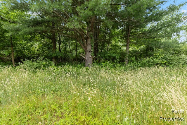 6804 S Maple Island Rd, Nunica, MI 49448 - photo 5