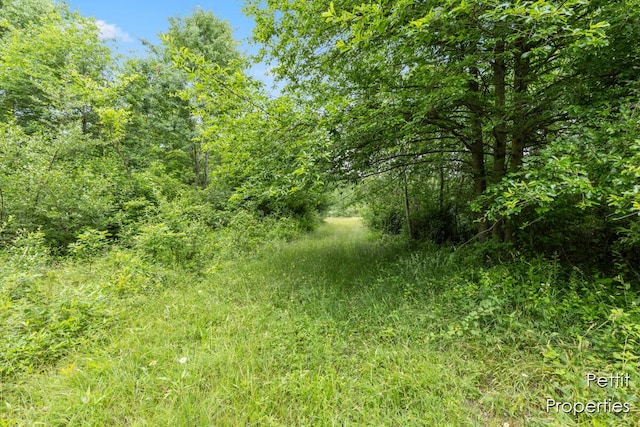 6804 S Maple Island Rd, Nunica, MI 49448 - photo 8