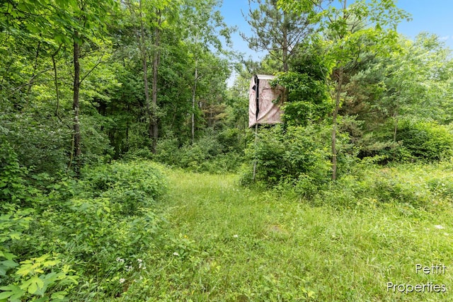 6804 S Maple Island Rd, Nunica, MI 49448 - photo 9