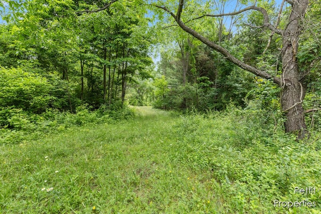 6804 S Maple Island Rd, Nunica, MI 49448 - photo 10