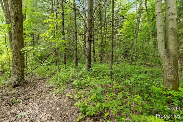 6804 S Maple Island Rd, Nunica, MI 49448 - photo 13