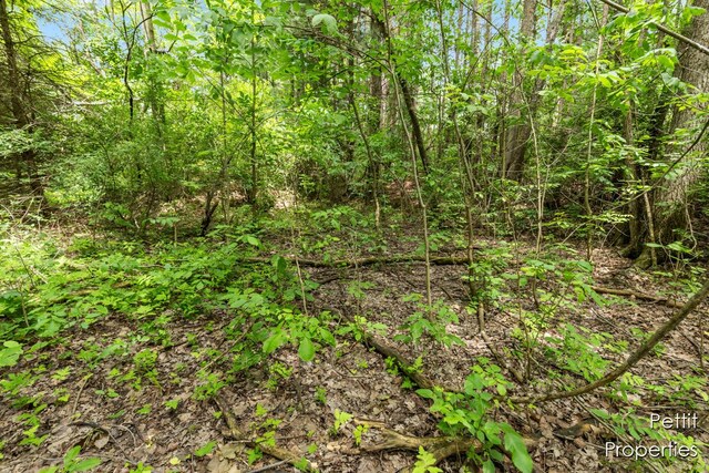 6804 S Maple Island Rd, Nunica, MI 49448 - photo 14