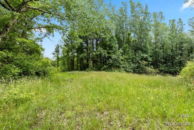 6804 S Maple Island Rd, Nunica, MI 49448 - photo 15