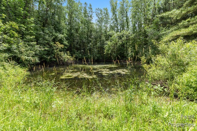 6804 S Maple Island Rd, Nunica, MI 49448 - photo 16