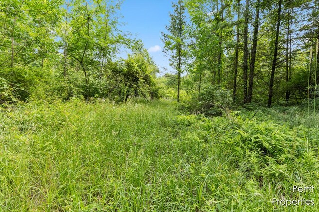 6804 S Maple Island Rd, Nunica, MI 49448 - photo 17