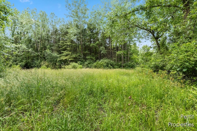 6804 S Maple Island Rd, Nunica, MI 49448 - photo 18