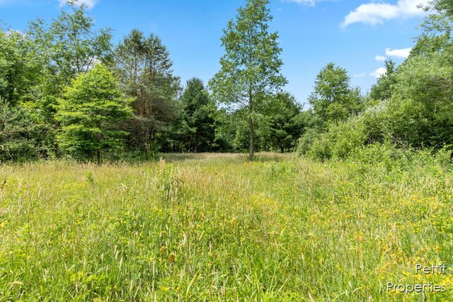 6804 S Maple Island Rd, Nunica, MI 49448 - photo 20